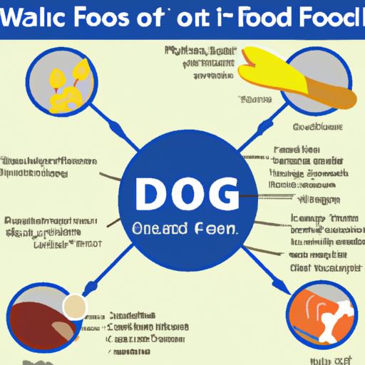 אינפוגרפיקה המסבירה את המרכיבים הבסיסיים של מזון לכלבים.